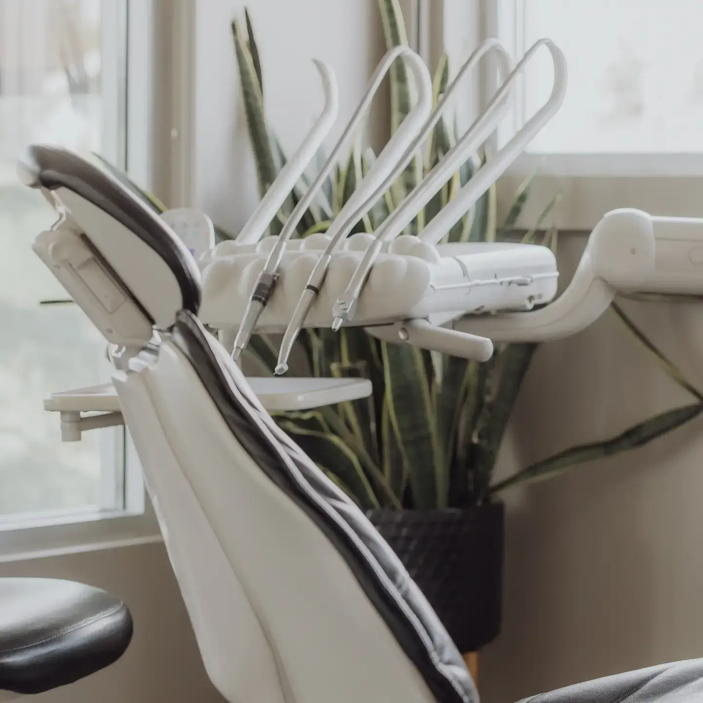 Implant-Supported Crowns and Bridges